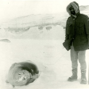 Donald Finkel in Antarctica with seal, January 1970