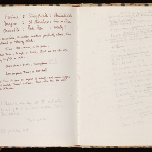 mrl-beinecke-notebook-und-0263.jpg