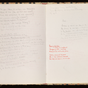 mrl-beinecke-notebook-und-0251.jpg