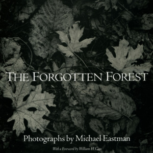 the_forgotten_forest_cover_01.jpg